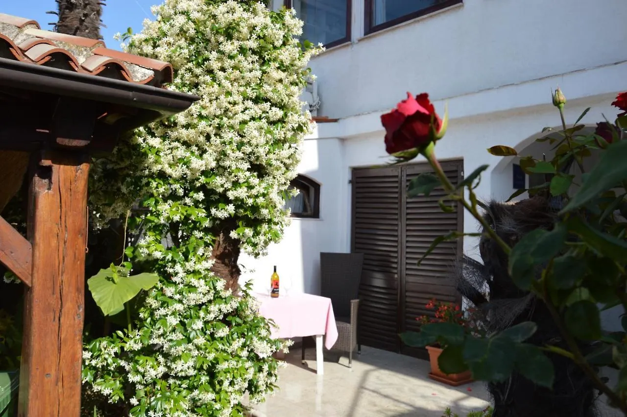 Apartments Zita Porec